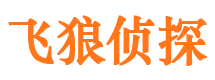 南县外遇调查取证